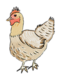 Chicken icon