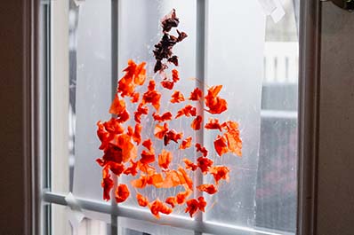 Sticky pumpkin activity