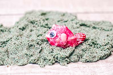 Painted shellfish craft